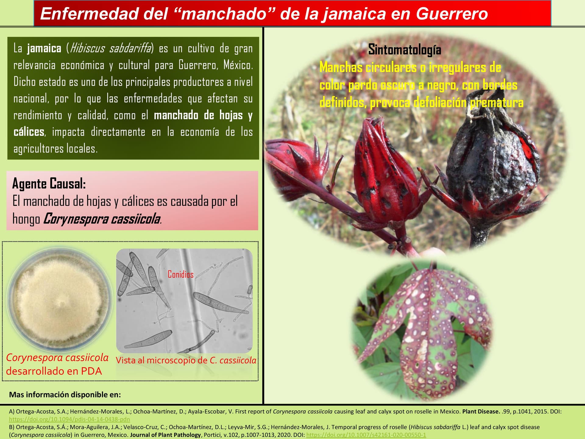 Ficha completa de Corynespora cassiicola